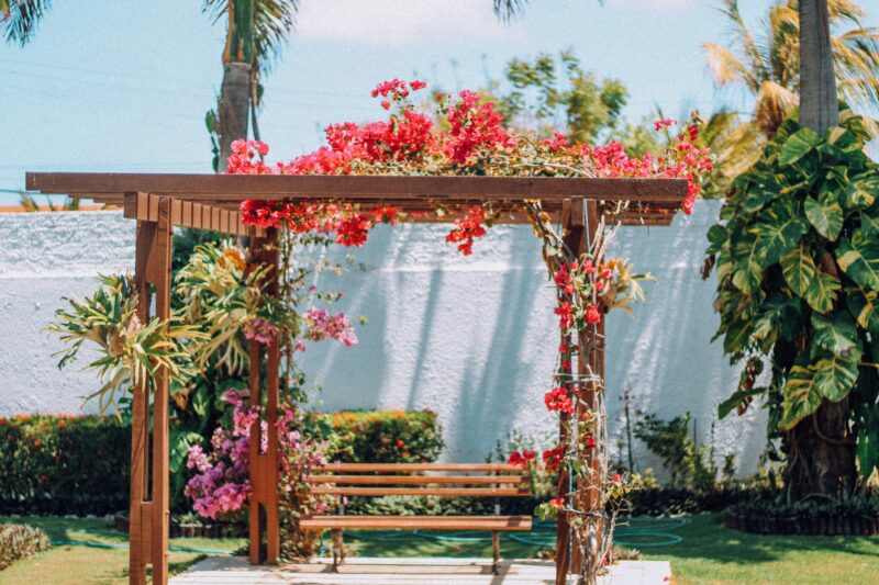 begroeide pergola
